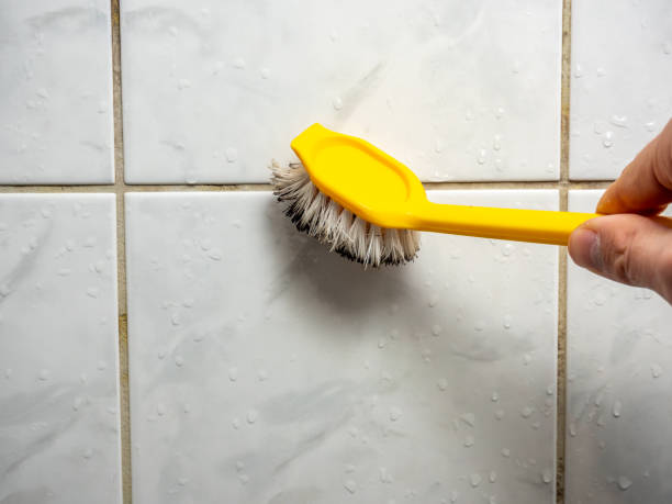 Best Toxic Mold Removal  in Minooka, IL