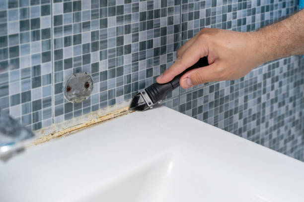 Best Residential Mold Removal  in Minooka, IL