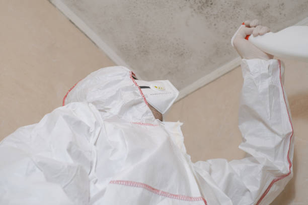 Best Professional Mold Removal  in Minooka, IL