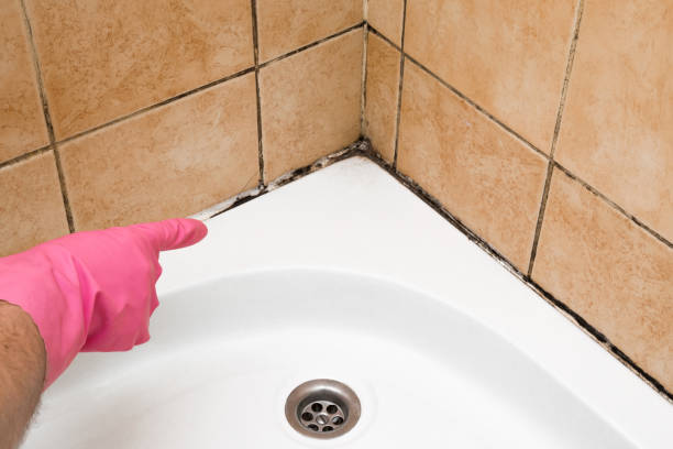 Best Water Damage Restoration  in Minooka, IL